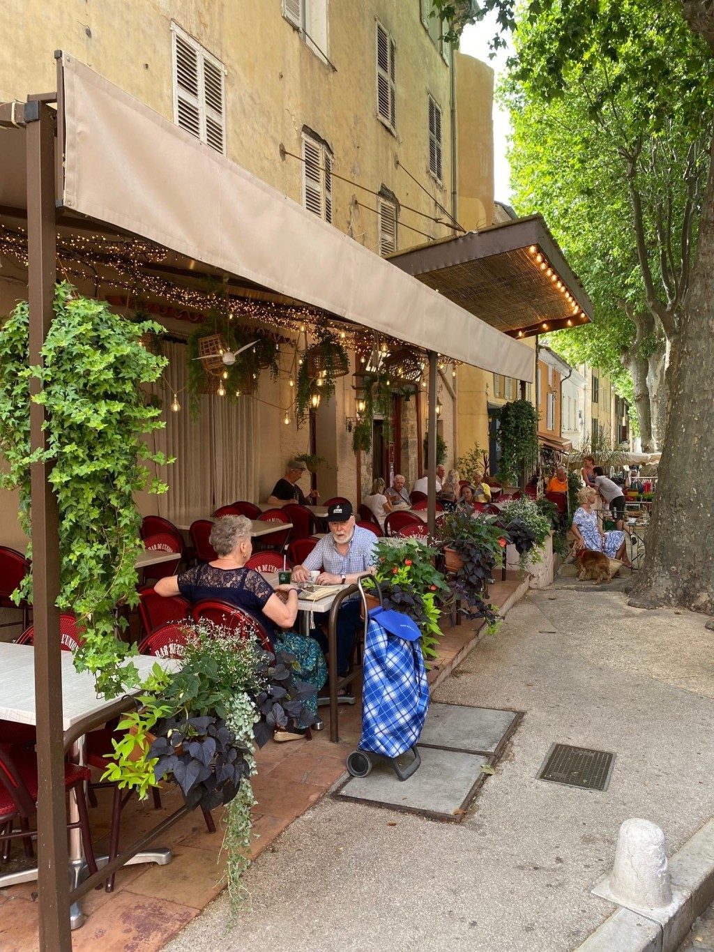 La terrasse du café le long du Cours, entre les platanes, les plantes grimpantes et les tables dressées